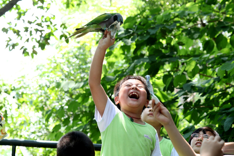 BOB�������޹�˾��(�й�)