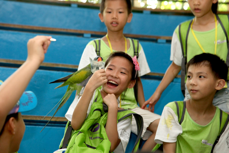 BOB�������޹�˾��(�й�)