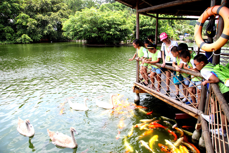 BOB�������޹�˾��(�й�)