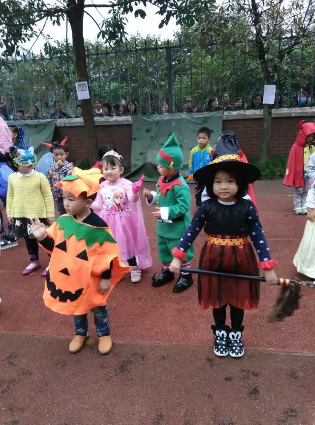 BOB�������޹�˾��(�й�)