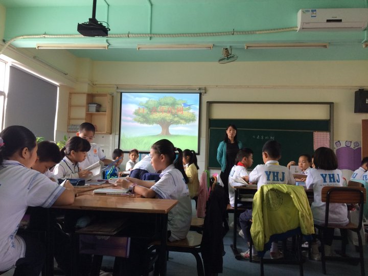 BOB�������޹�˾��(�й�)