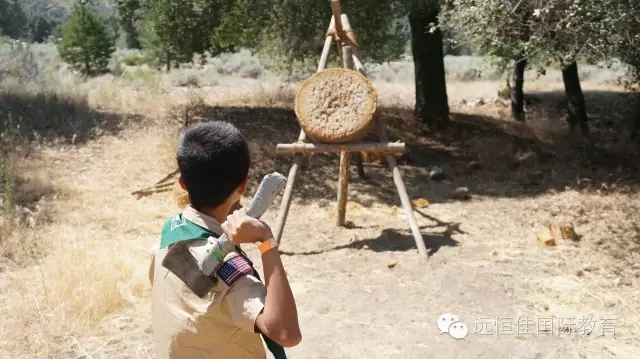 BOB�������޹�˾��(�й�)