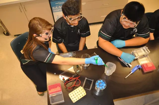 BOB�������޹�˾��(�й�)