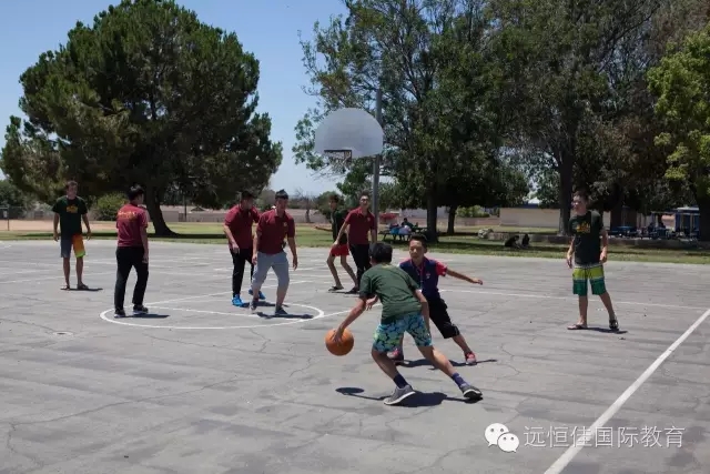 BOB�������޹�˾��(�й�)