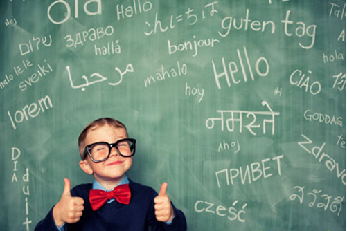 BOB�������޹�˾��(�й�)