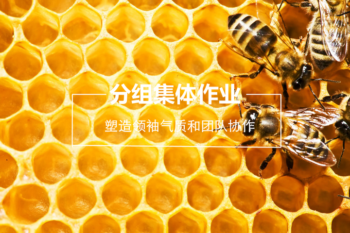 BOB�������޹�˾��(�й�)