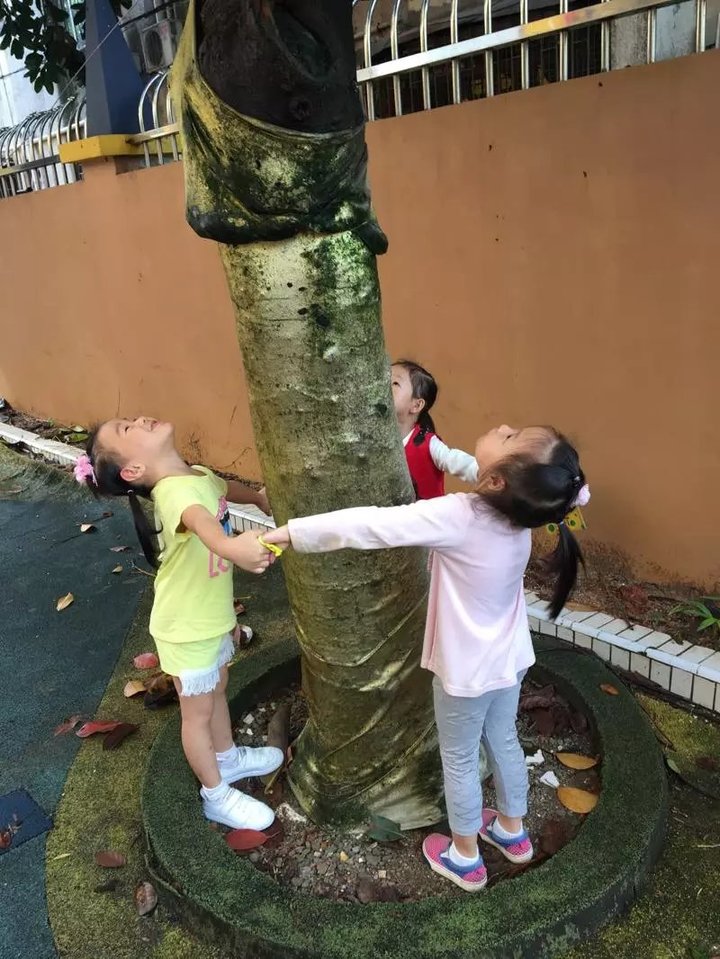 BOB�������޹�˾��(�й�)