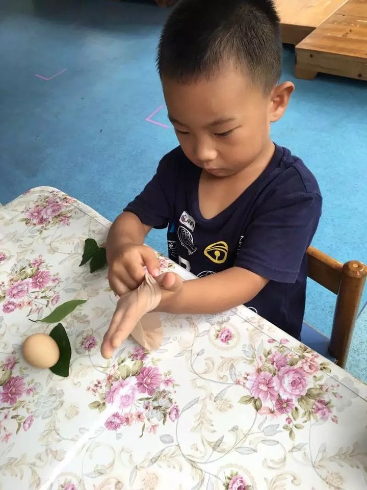 BOB�������޹�˾��(�й�)