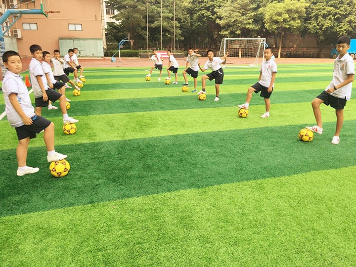 BOB�������޹�˾��(�й�)