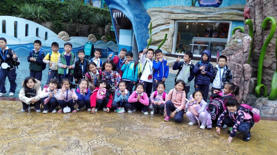 BOB�������޹�˾��(�й�)