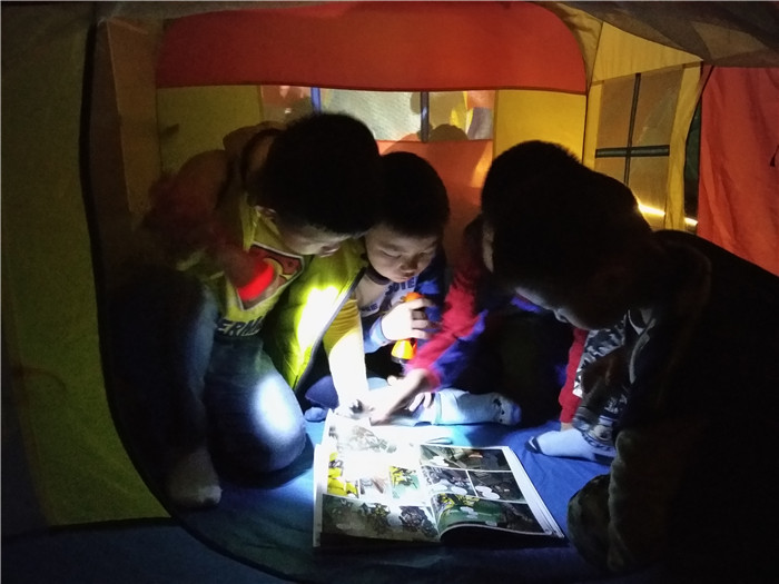 BOB�������޹�˾��(�й�)