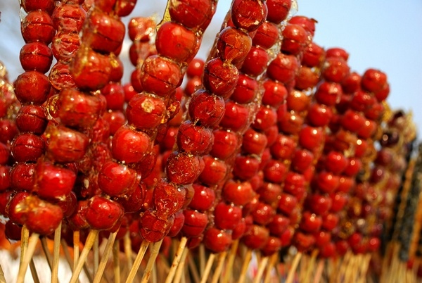 BOB�������޹�˾��(�й�)