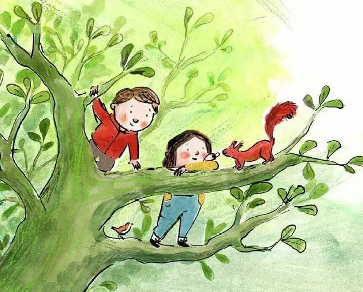 BOB�������޹�˾��(�й�)