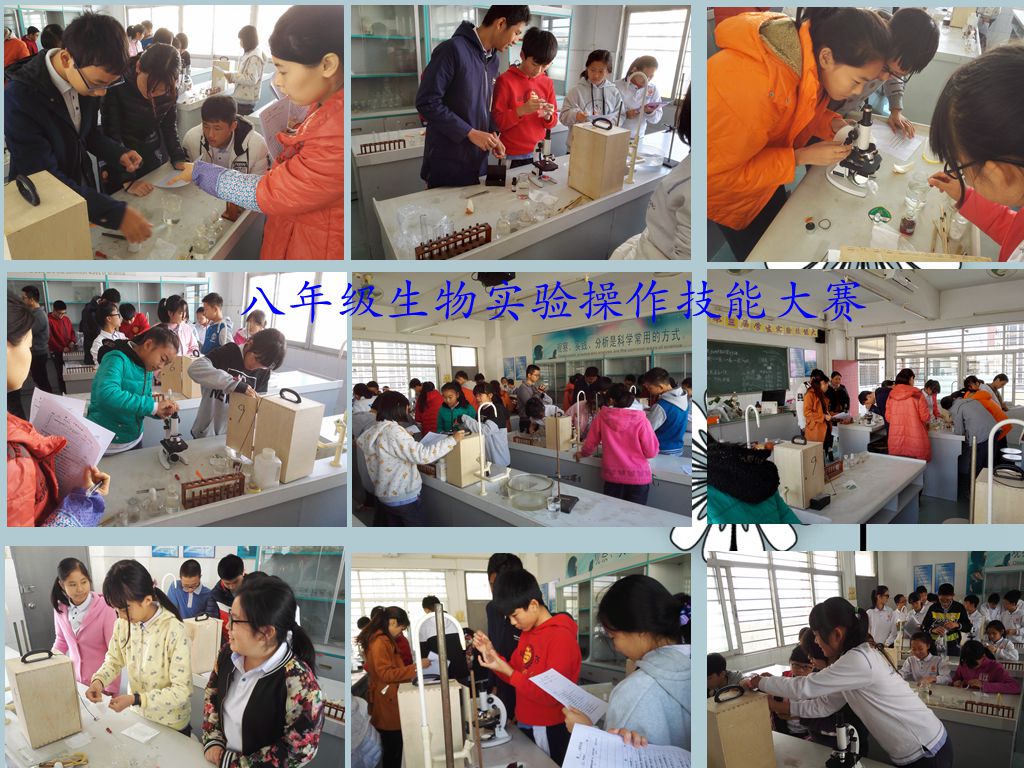 BOB�������޹�˾��(�й�)