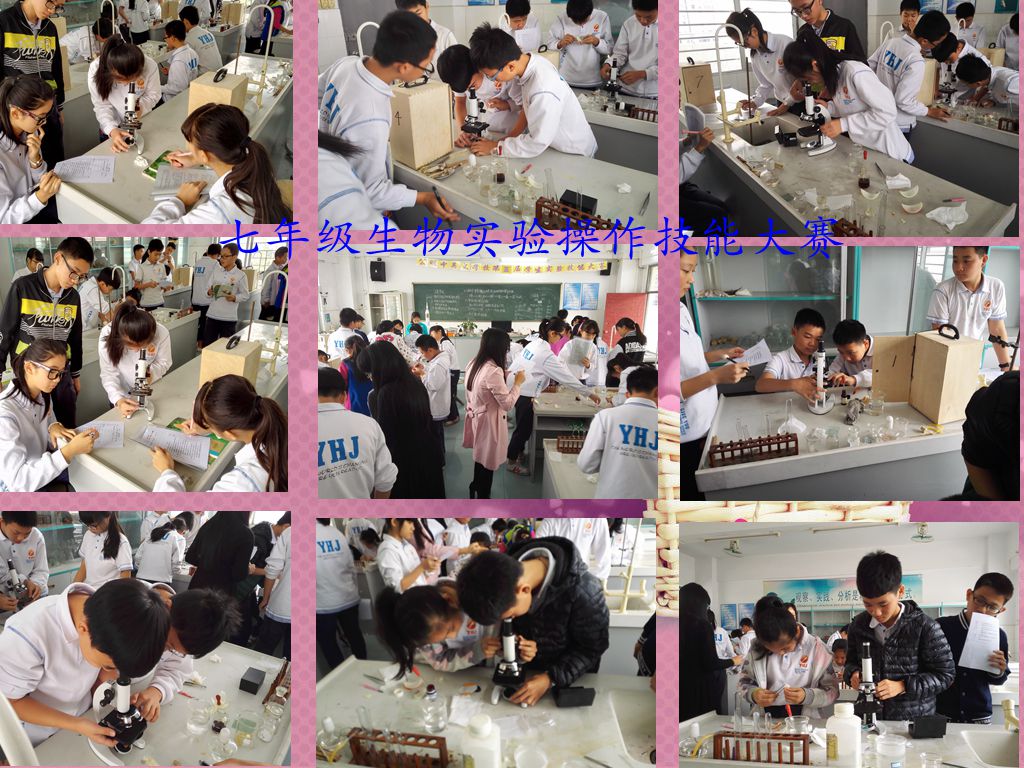 BOB�������޹�˾��(�й�)