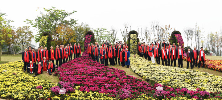 BOB�������޹�˾��(�й�)