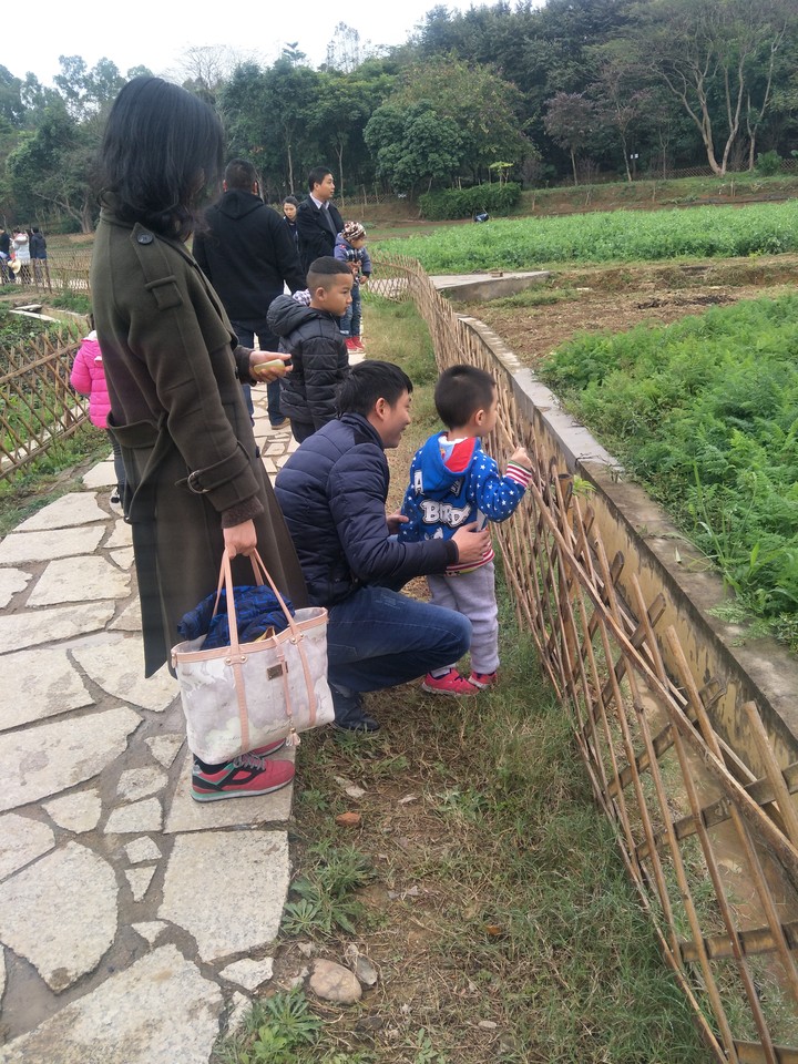 BOB�������޹�˾��(�й�)