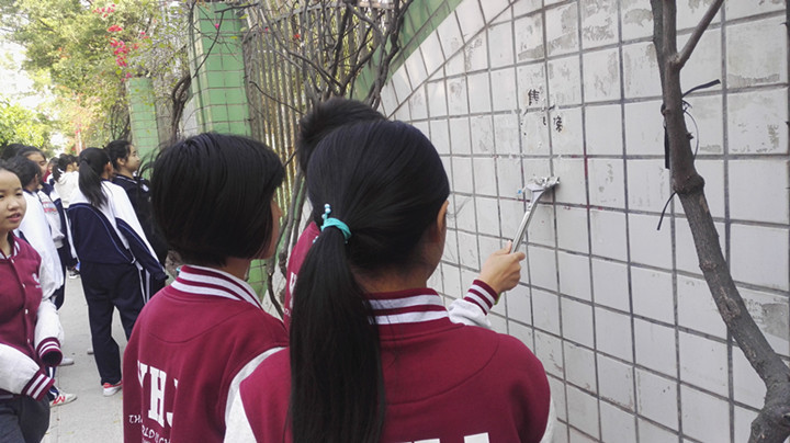 BOB�������޹�˾��(�й�)