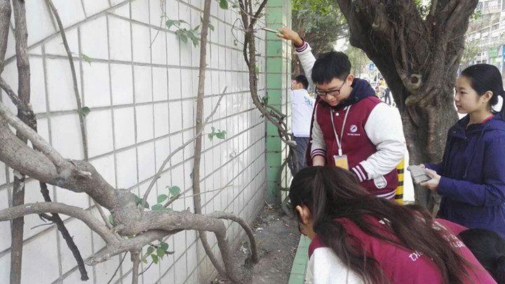 BOB�������޹�˾��(�й�)