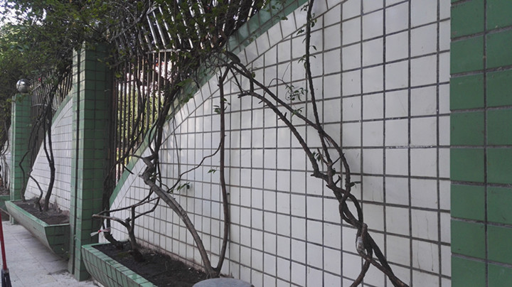 BOB�������޹�˾��(�й�)