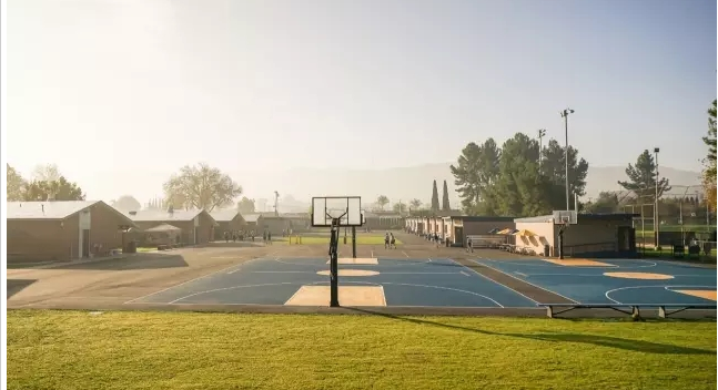 BOB�������޹�˾��(�й�)