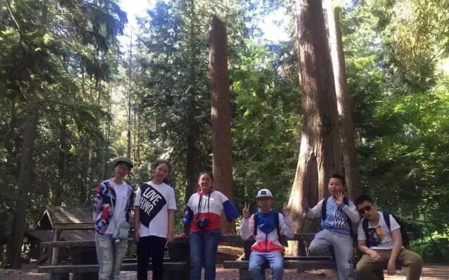 BOB�������޹�˾��(�й�)