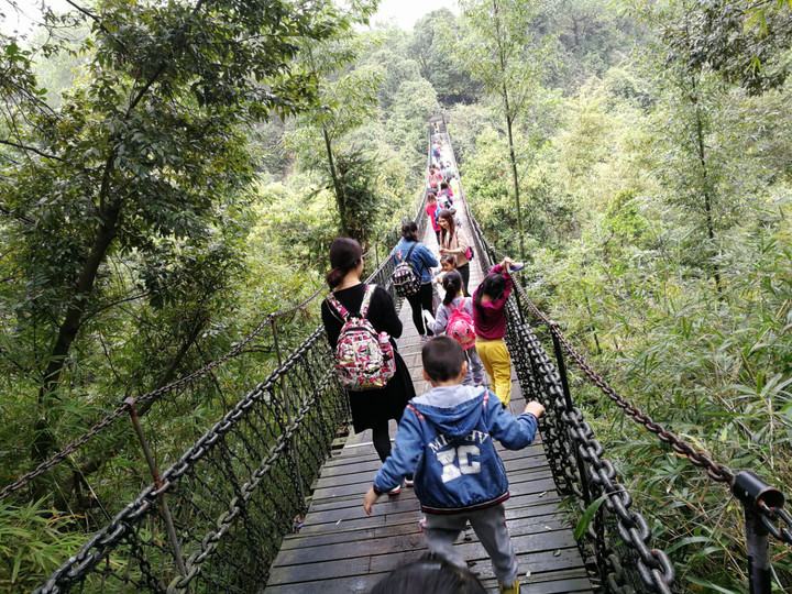 BOB�������޹�˾��(�й�)