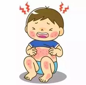 BOB�������޹�˾��(�й�)