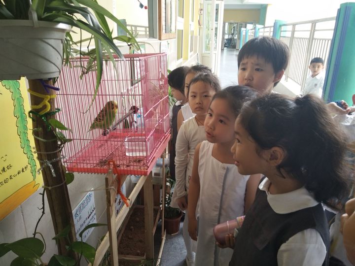 ���ǵĶ�����٭