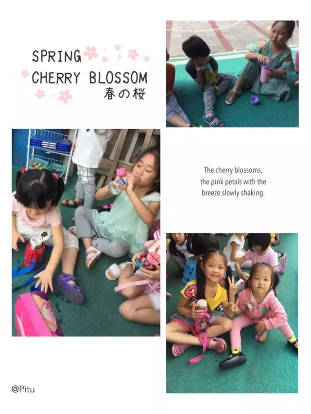 BOB�������޹�˾��(�й�)