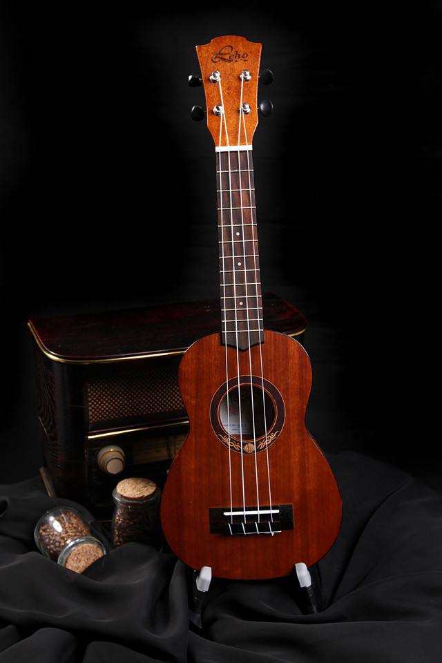 BOB�������޹�˾��(�й�)