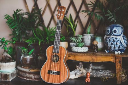 BOB�������޹�˾��(�й�)