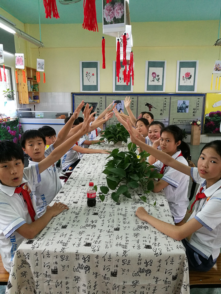 BOB�������޹�˾��(�й�)