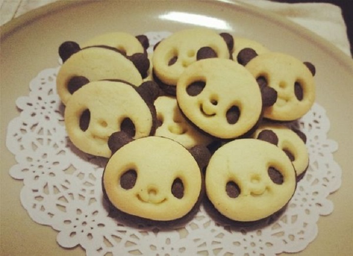 BOB�������޹�˾��(�й�)