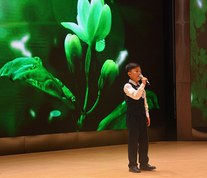 BOB�������޹�˾��(�й�)