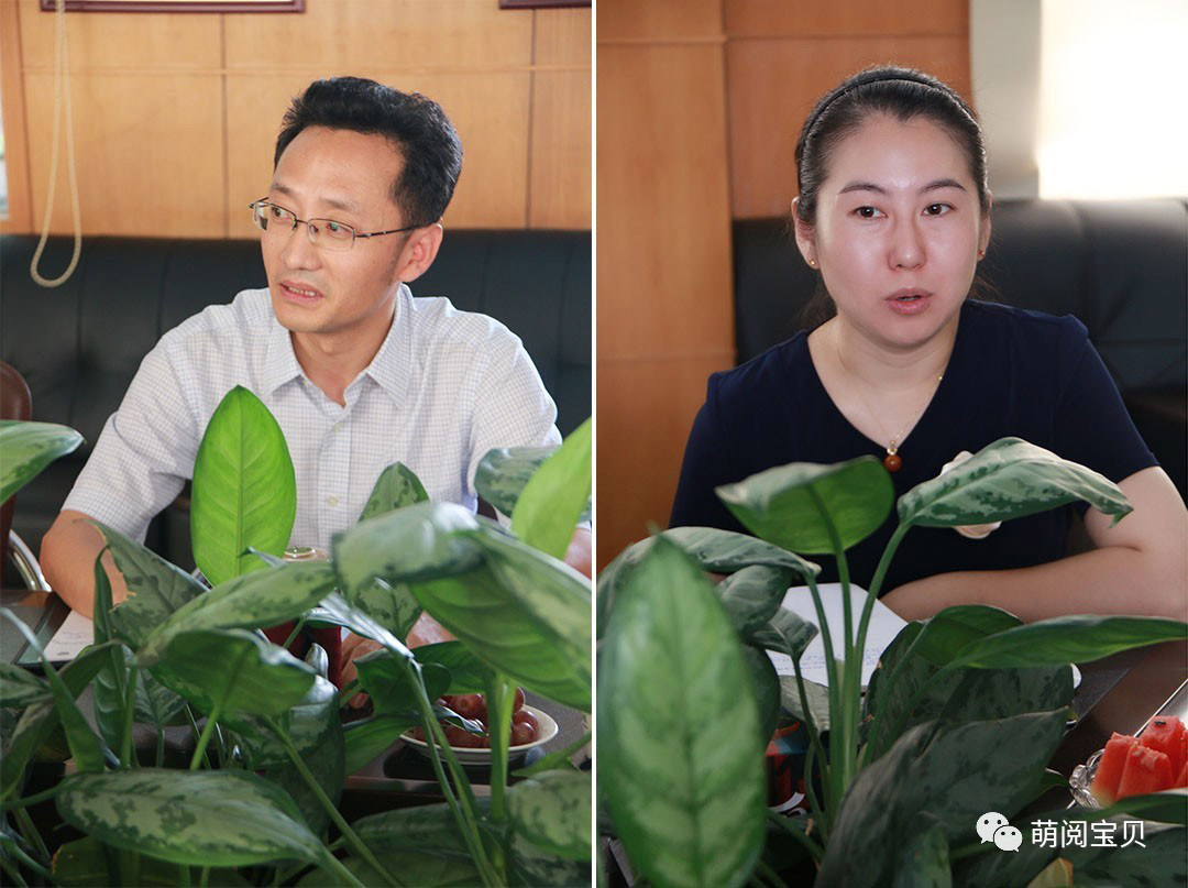 BOB�������޹�˾��(�й�)