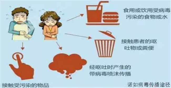 BOB�������޹�˾��(�й�)