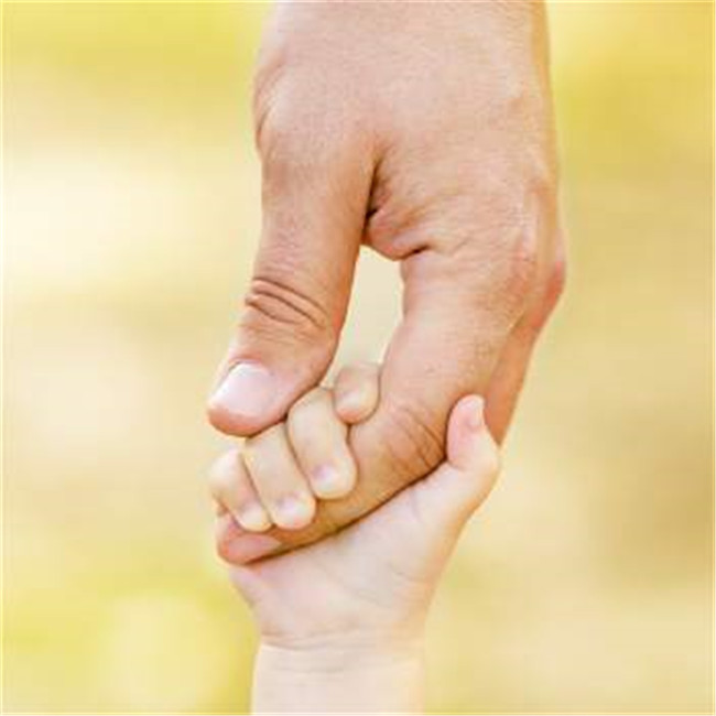 BOB�������޹�˾��(�й�)