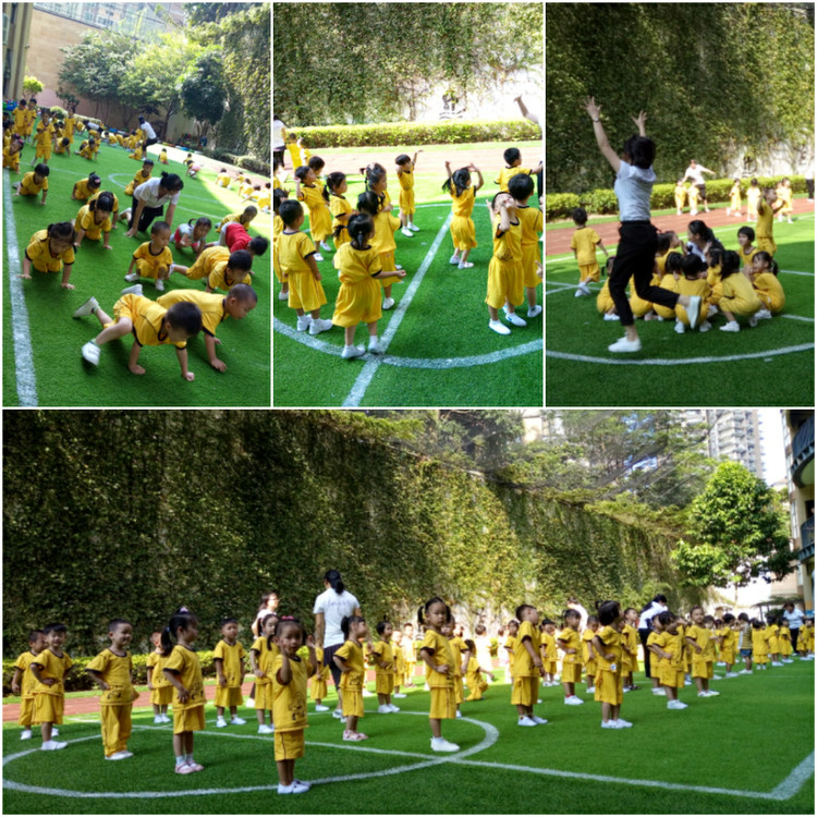 BOB�������޹�˾��(�й�)