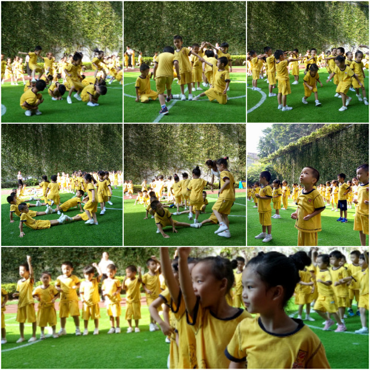 BOB�������޹�˾��(�й�)