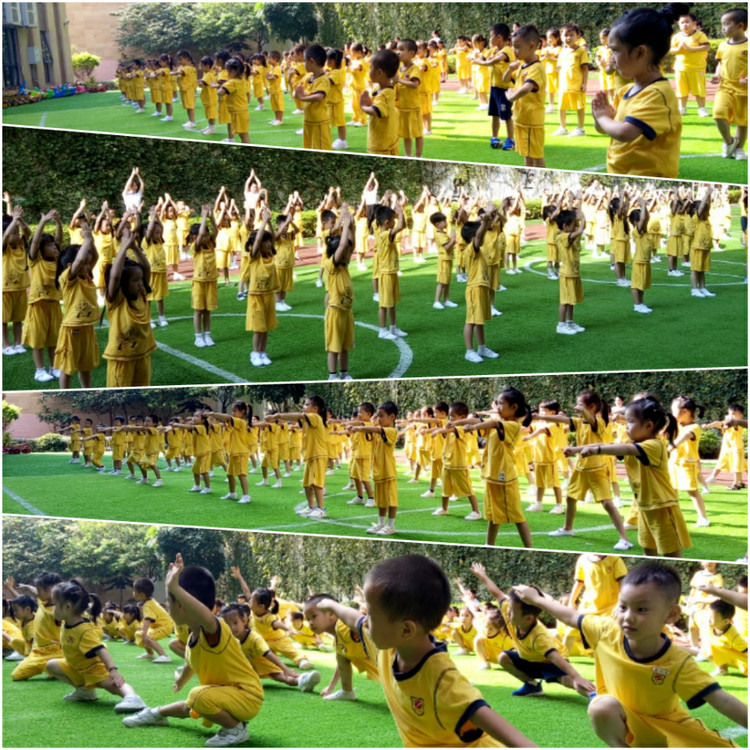 BOB�������޹�˾��(�й�)