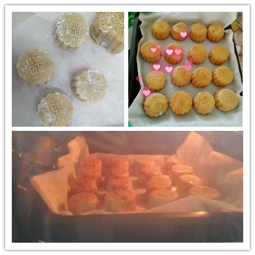 BOB�������޹�˾��(�й�)