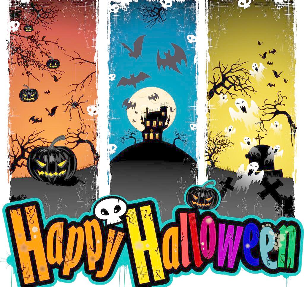 BOB�������޹�˾��(�й�)