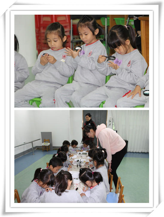 BOB�������޹�˾��(�й�)