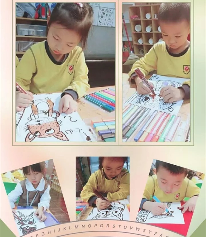 BOB�������޹�˾��(�й�)