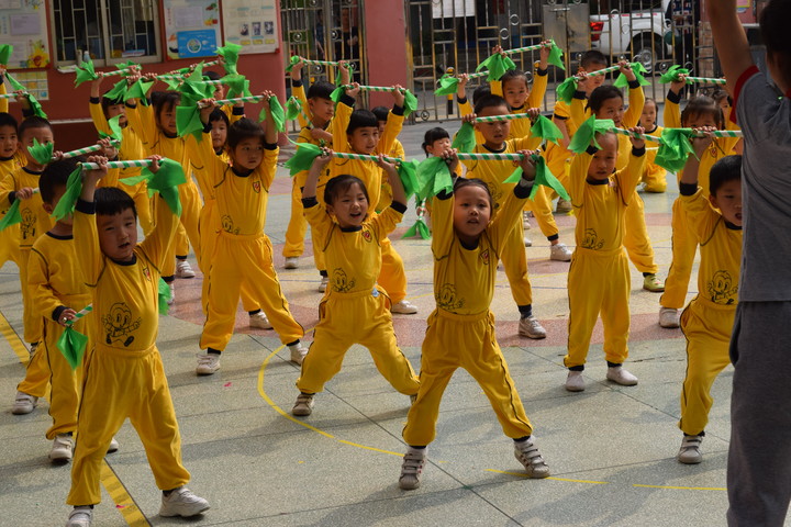 BOB�������޹�˾��(�й�)