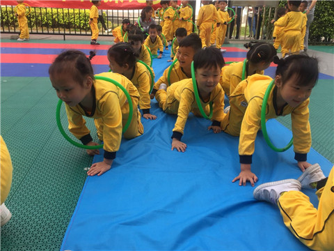 BOB�������޹�˾��(�й�)