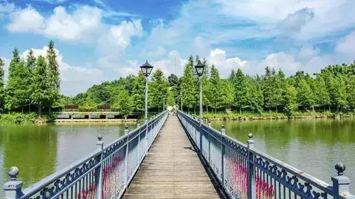 BOB�������޹�˾��(�й�)