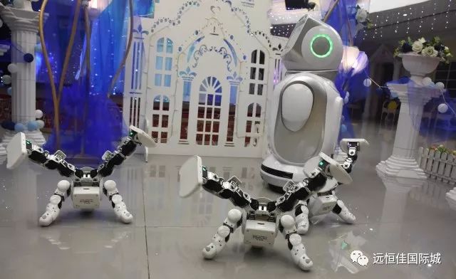 BOB�������޹�˾��(�й�)