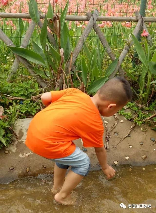 BOB�������޹�˾��(�й�)